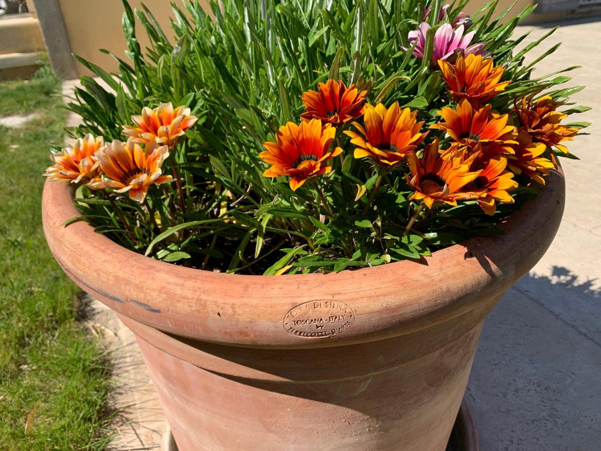 En Provence, Chez Stephanie Et Marcel Saint-Rémy-de-Provence 외부 사진