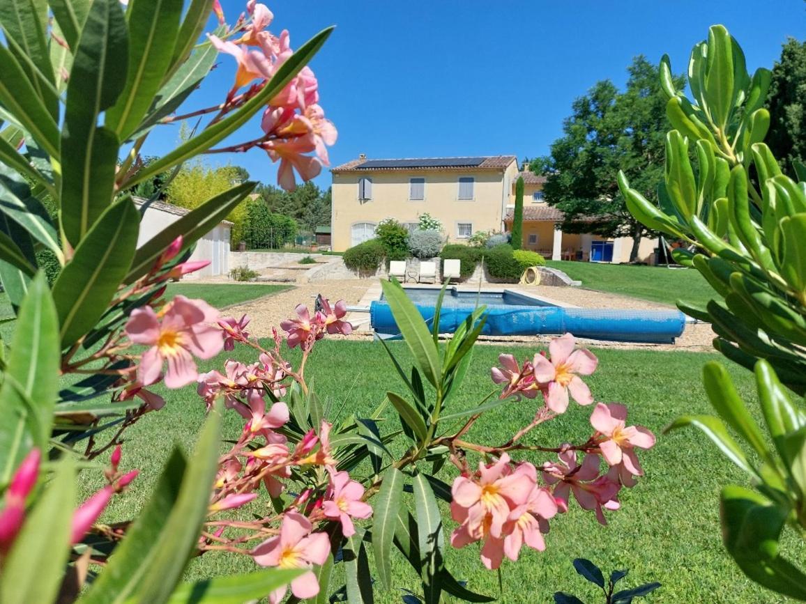 En Provence, Chez Stephanie Et Marcel Saint-Rémy-de-Provence 외부 사진