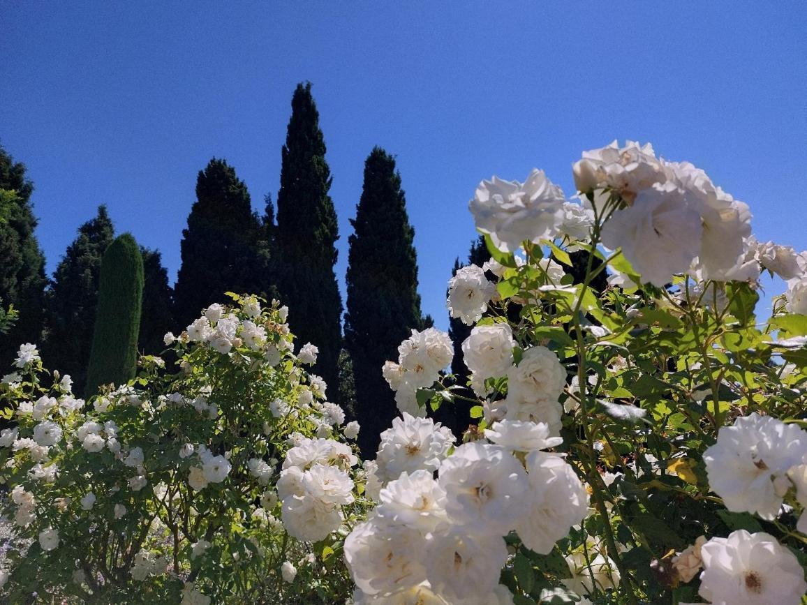 En Provence, Chez Stephanie Et Marcel Saint-Rémy-de-Provence 외부 사진