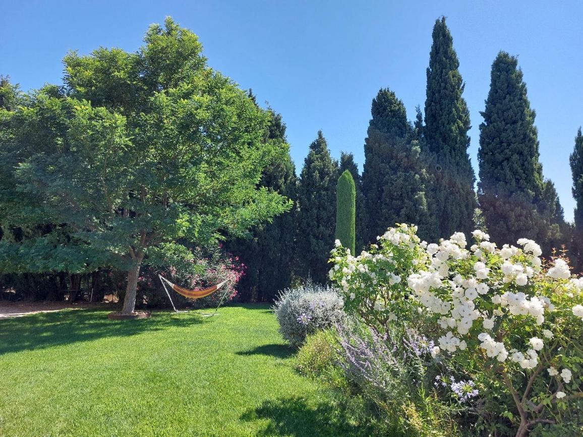 En Provence, Chez Stephanie Et Marcel Saint-Rémy-de-Provence 외부 사진